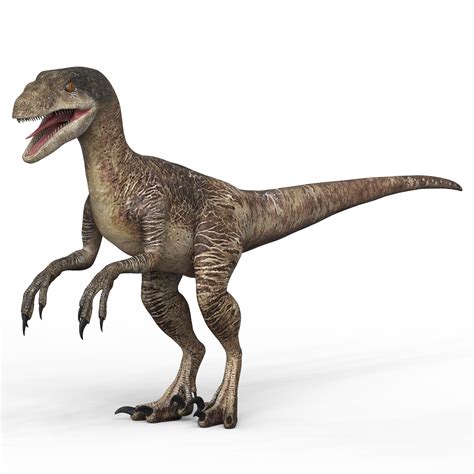 Velociraptor Dinosaur By Cgsea 3docean