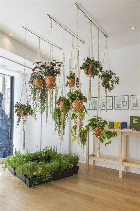 Hanging Plants From Ceiling Hanging Clay Pots Hanging Planter With Rope