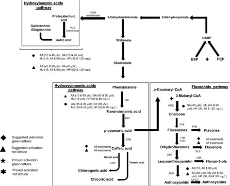 Proposed ways activated by elicitors on the metabolism of ...