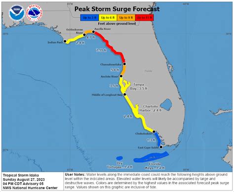 Hurricane and storm surge watches posted along the Florida Gulf Coast ...