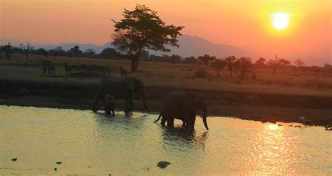 3 Days Serengeti And Ngorongoro Camping Safari Meijo Safaris