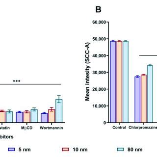 Effects Of Pharmacological Inhibitors On The Internalisation Of