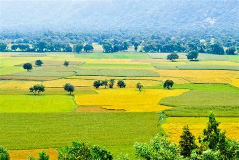 An Giang Province Photos - Featured Images of An Giang Province ...