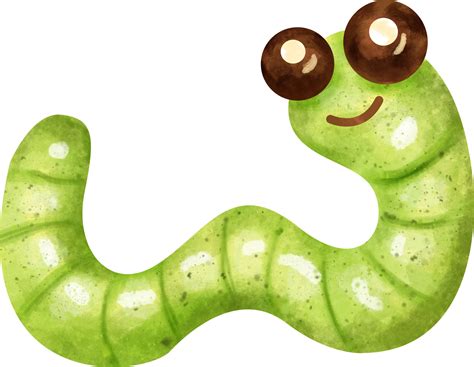 Watercolor Worm Clip Art 23322567 Png