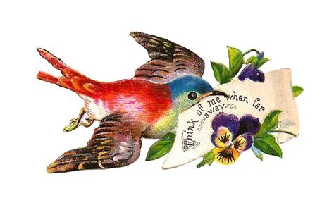 Free Bird Graphic Antique Bird Clip Art From Victorian Scraps With