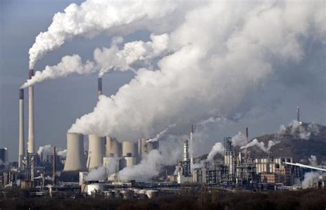 el decalogo del ciudadano ecointeligente ecointeligencia