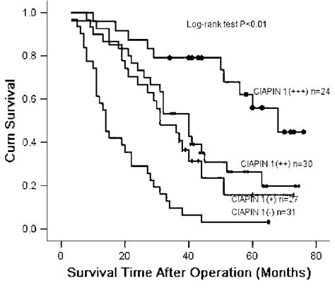 Kaplan Meier Postoperative Survival Curve For Patterns With Escc And Download Scientific