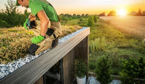 Caucasian Gardener Taking Care Of A Mature Living Roof Stock Photo