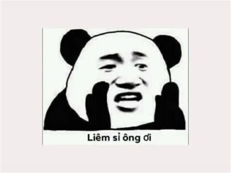 Meme Là Gì Top 30 Bộ Meme Hài Hước được Sử Dụng Nhiều Nhất Hiện Nay