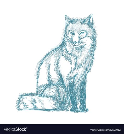 Fox sitting sketch blue vintage Royalty Free Vector Image