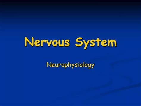 Ppt Nervous System Powerpoint Presentation Free Download Id 457877