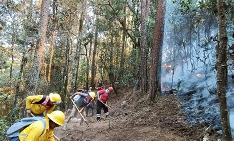 Brigadistas Atienden 13 Incendios Forestales Y 2 De Pastizal PC