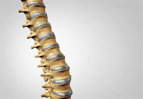 Kyphoplasty Vs Vertebroplasty What S The Difference Pmir