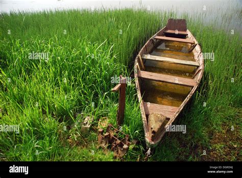 Boat and reeds hi-res stock photography and images - Alamy