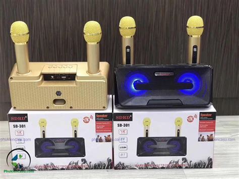 Loa karaoke mini SD 301 tặng kèm 2 micro không dây Phu Kien Casu