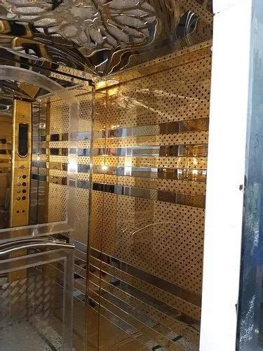 Stainless Steel Automatic Residential Passenger Elevator At Rs 700000