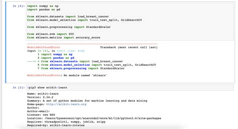 Python Error No Module Named Pip