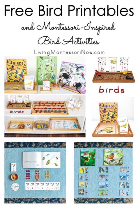 Free Montessori Printables Archives Living Montessori Now