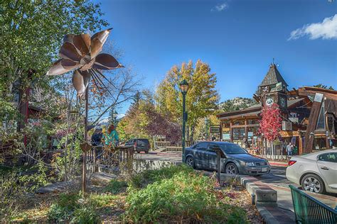 Estes Park Columbine Sculpture Photograph by Lorraine Baum | Pixels