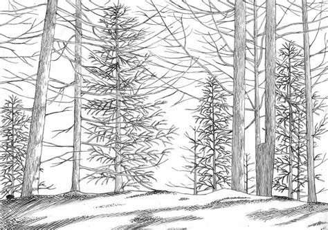 The Open Forest By Gryffindorhg On Deviantart