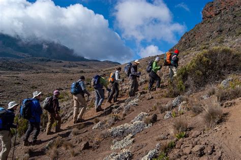 Hiking Mt. Kilimanjaro: 7 Things You Should Know Now