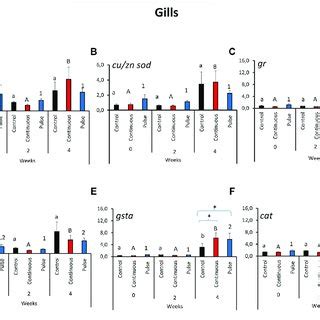 Relative Expression Of Key Antioxidant Defence Genes In The Olfactory