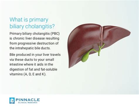 Primary Biliary Cholangitis