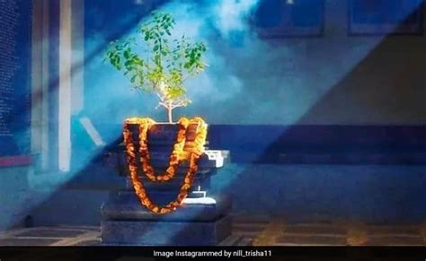Tulsi Pujan Diwas 2023 आज है तुलसी पूजन दिवस जानिए इस दिन तुलसी पूजा