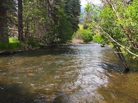 Park Creek Of South Fork Of Rio Grande River The Catch And The Hatch