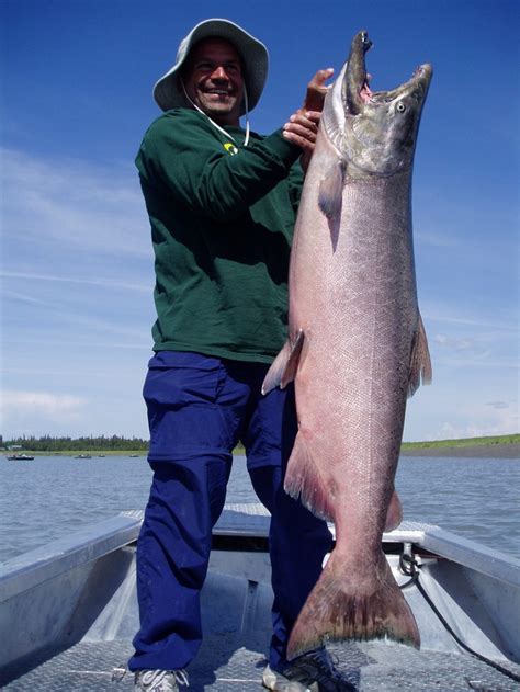 Kenai River King Salmon Fishing in Alaska | Wet & Wild Alaska Fishing