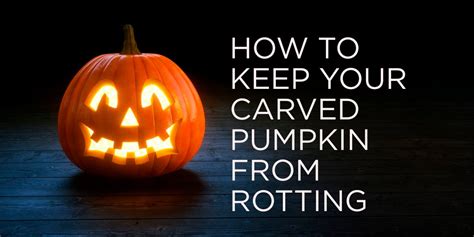 How To Preserve A Carved Pumpkin Tips For Keeping A Carved Pumpkin