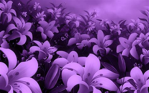 Purple Lily Wallpapers Top Free Purple Lily Backgrounds Wallpaperaccess