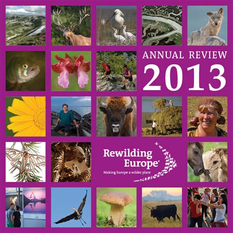 Rewilding Europe Annual Review 2013 out now | Rewilding Europe