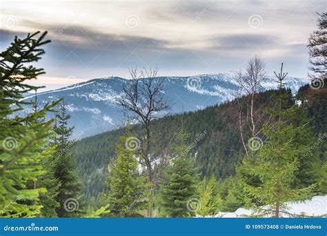 Krkonose, Czech republic stock photo. Image of foggy - 109573408