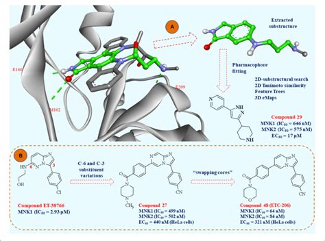 A Crystal Structure Of Mnk Complexed With Staurosporine Pdb