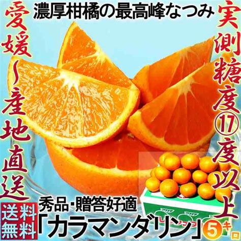 産地直送 カラマンダリン 南津海みかん 約5kg 贈答規格 愛媛県産 Jaえひめ中央 抜群の甘さと濃厚な味が魅力のギフト蜜柑！の通販はau