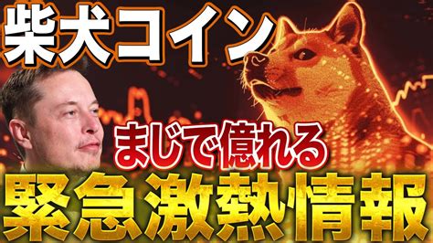 【柴犬急騰】仮想通貨バブルでshibが爆発！今後は爆騰？それとも暴落？超堅実に億り人になれる方法を徹底解説！【shib（柴犬コイン