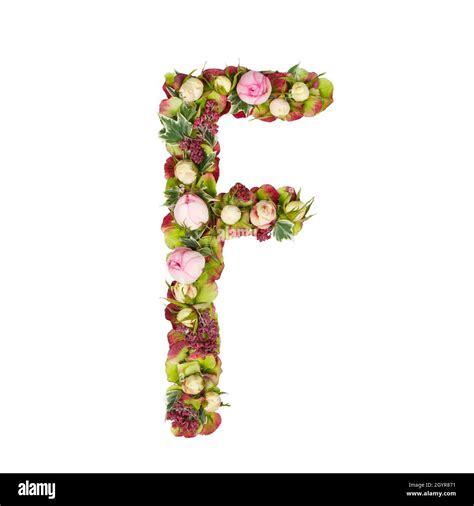 Capital Letter F Part Of A Set Of Letters Numbers And Symbols Of The