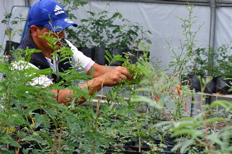 Ofrecerán talleres por el Día de la Tierra T informa Noticias