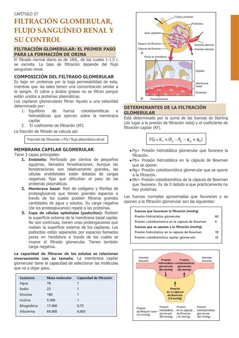 Solution Guyton Cap Filtraci N Glomerular Flujo Sangu Neo Renal