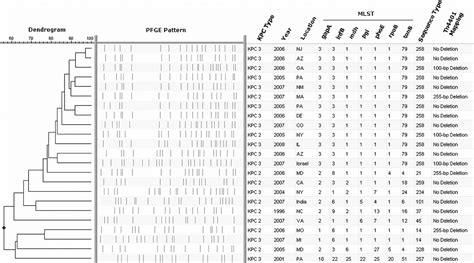 Molecular Epidemiology Of Kpc Producing Klebsiella Pneumoniae Isolates In The United States