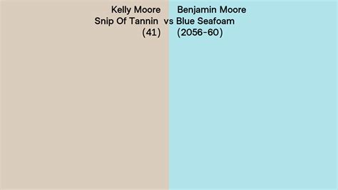 Kelly Moore Snip Of Tannin 41 Vs Benjamin Moore Blue Seafoam 2056 60