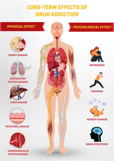 Long Term Effects of Drug Addiction in Detail | Lion Recovery