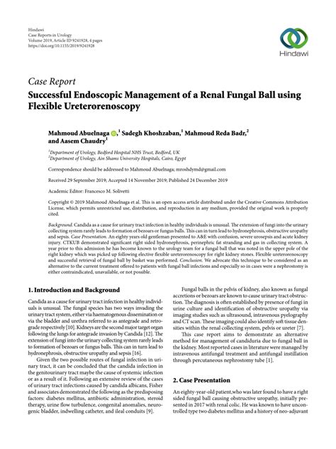 Pdf Successful Endoscopic Management Of A Renal Fungal Ball Using