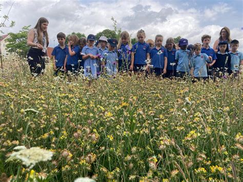 Sherborne Girls on Twitter: "RT @Sherborneprep: Year 2 visited @SherborneGirls to tour their ...