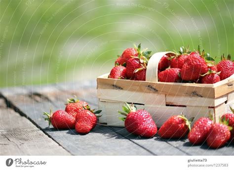 Sommerzeit Ist Erdbeerzeit Ein Lizenzfreies Stock Foto Von Photocase