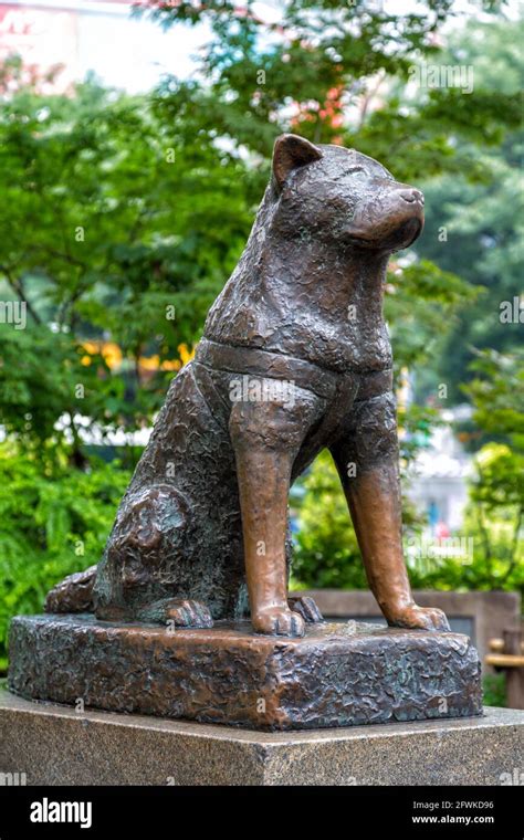 Modern dog statue hi-res stock photography and images - Alamy