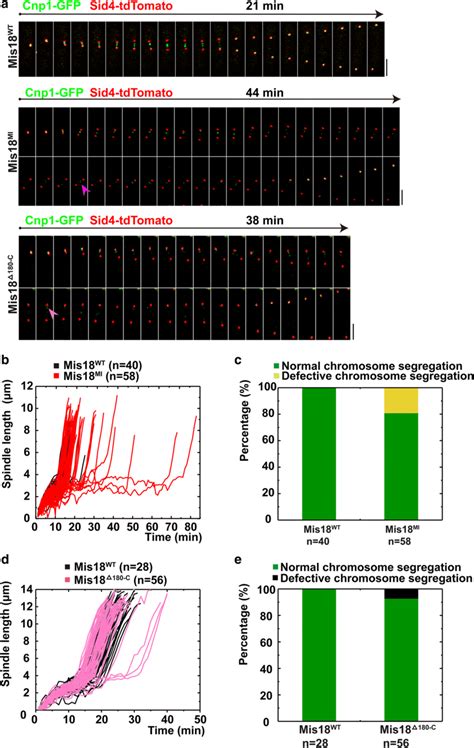 Disrupting The Interaction Of Spmis With Either Histone H Ah B Or