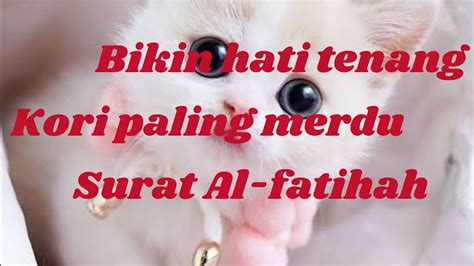 Tilawatil Quran Cover Kucing Lucu Surat Al Fatihah Bersuara Merdu YouTube