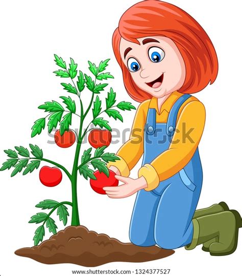 105 Girl Picking Tomatoes Stock Vectors And Vector Art Shutterstock